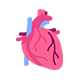 cardiology-icon